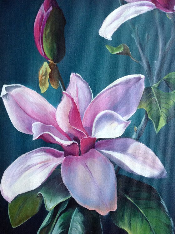 Magnolia