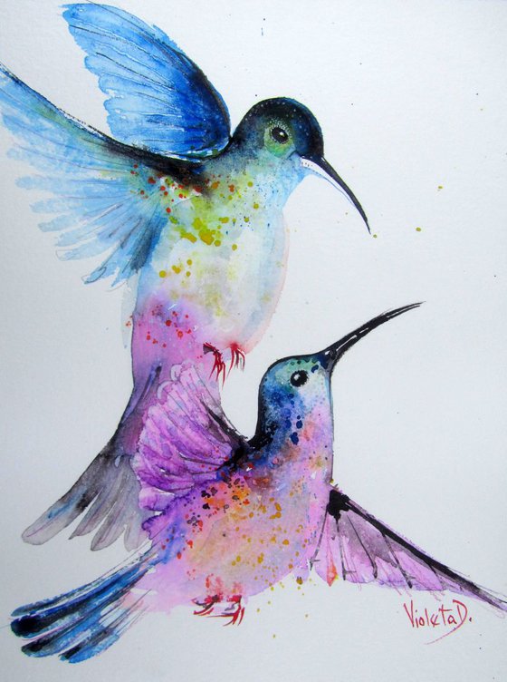 Hummingbirds 5