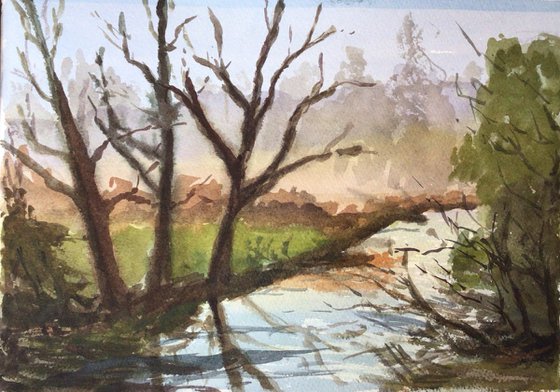 Winter trees beside the Stour
