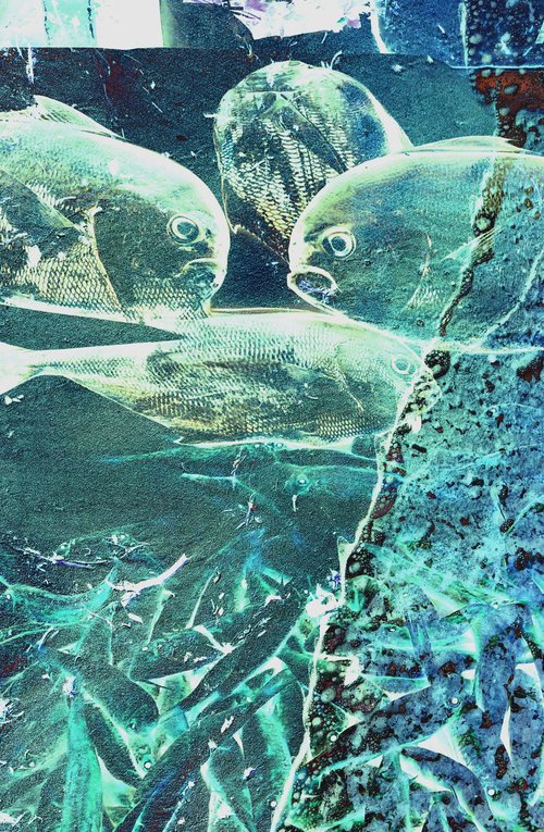 Photo Collage Fish Sea Sand by Yuliia Sharapova