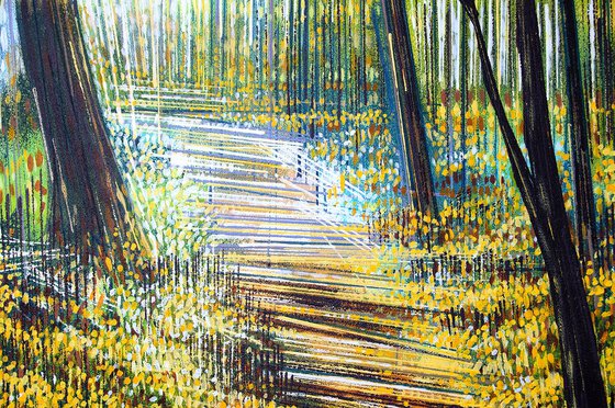 Sunlight Through Autumn Trees