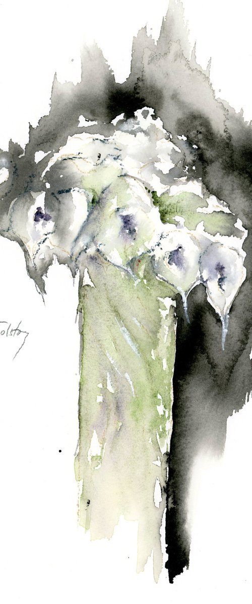 Callas in a Vase by Alex Tolstoy