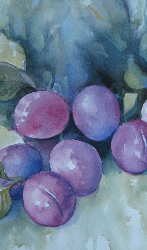 Purple plums by Elena Oleniuc