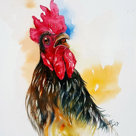 Dark rooster Davy