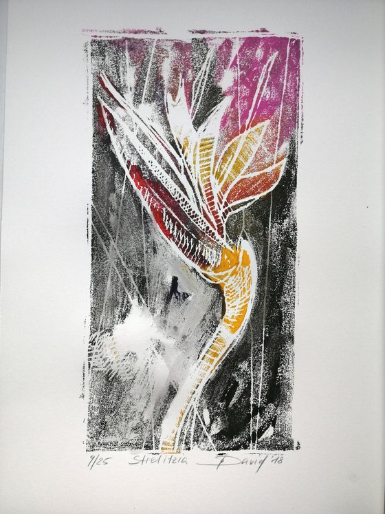 bird of paradise flower - Monotype 09