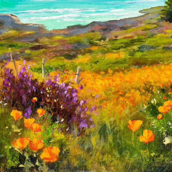 'Coastal wildflowers'