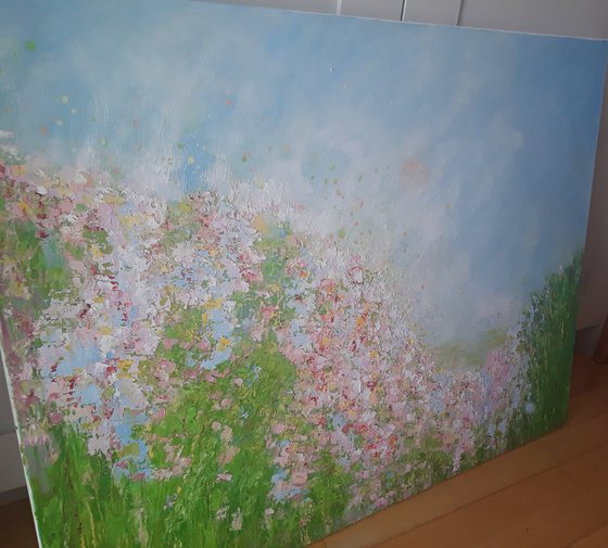 PINK SUMMER MORNING