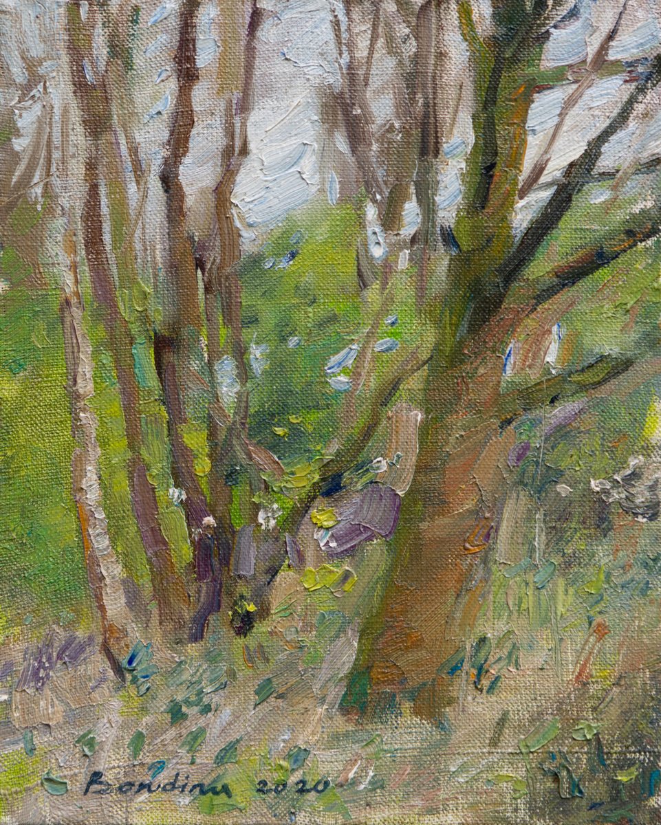 Forest - Oil Painting By Anastasia Borodina, 10 X 12, Artwork For Sale On Artfinder