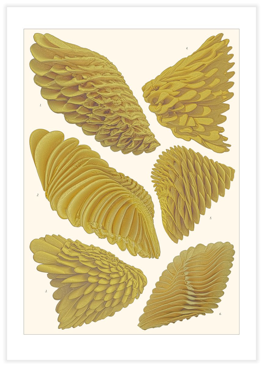 Organic Animal Giclee Print By Vanda Berecz, 16 X 23", Apocrita Somniata, Original Artwork