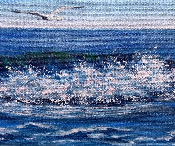 Seagull over the wave