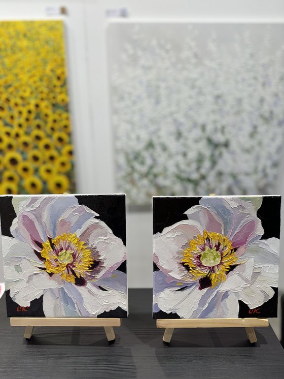 Flamenco peony