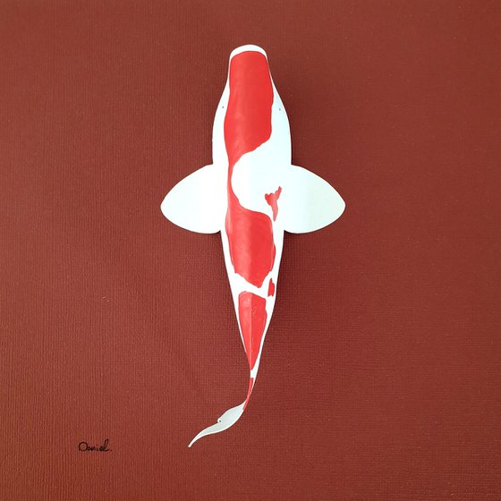 Kohaku Koi