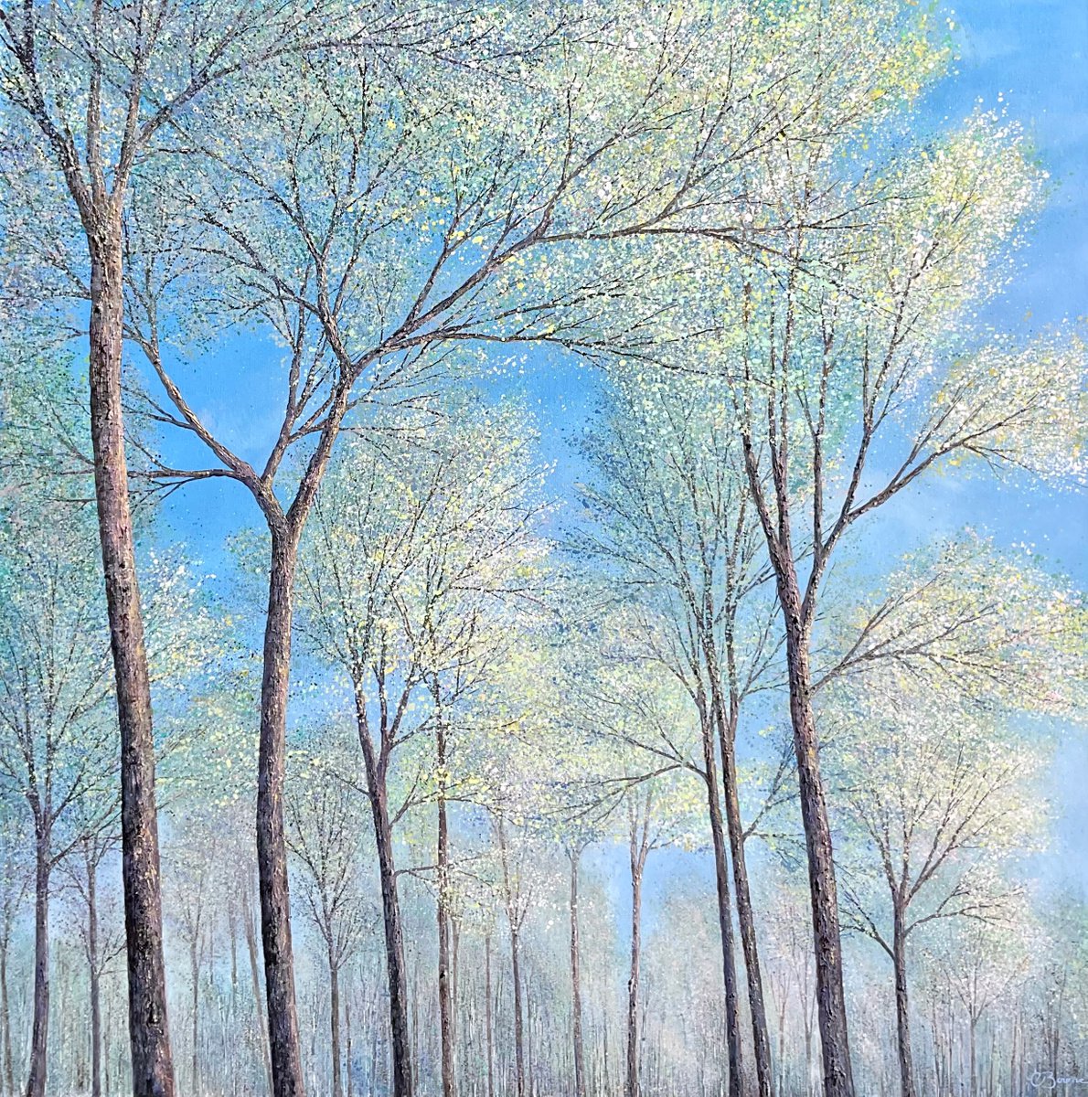 Soft Whispers In The Treetops | 100cm x 100cm by Chris Bourne