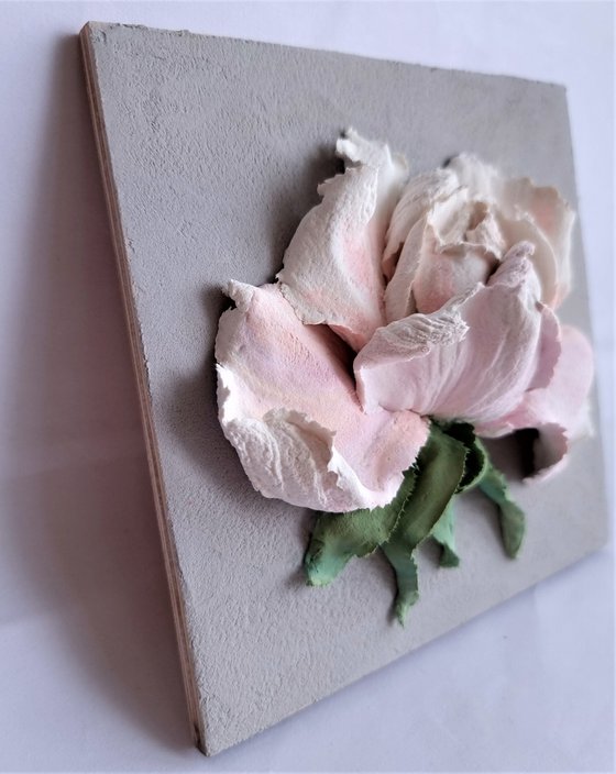 Relief flower painting with white-pink rose on a grey backgroud. The Rose #1. 13.5x13.5x4cm