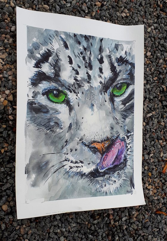 "Snow leopard"