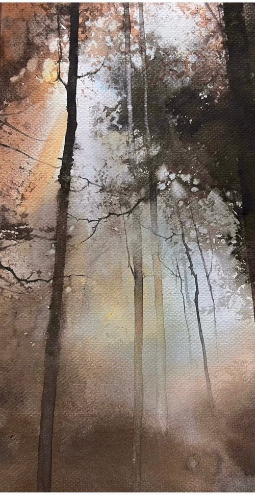 Misty Forest Light by Nazar Grunyka