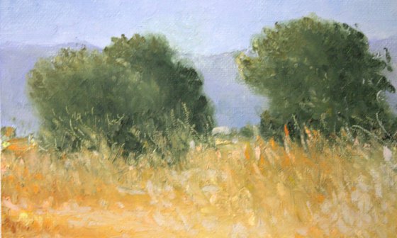 Paisaje del entorno de Moncofa