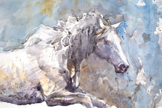 Running horse (70x50)