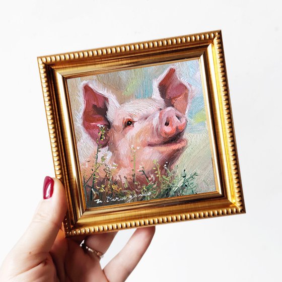 Pig portrait