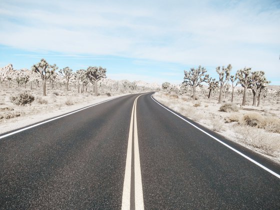 Joshua's Road