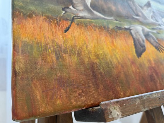 Warm rain through sunlight