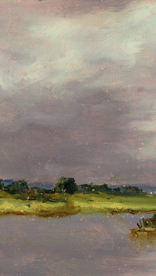 Marais à Saint Armel by José DAOUDAL