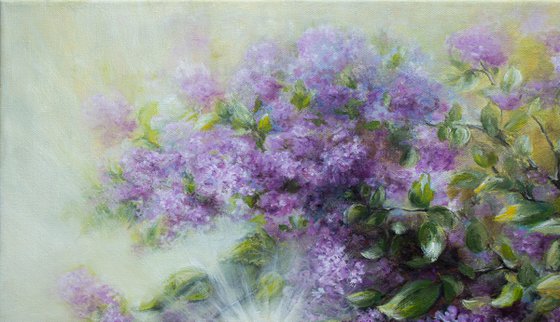 Sunny Lilac