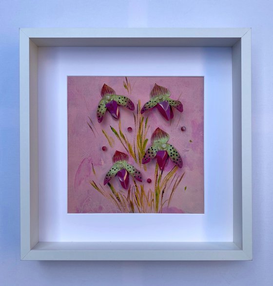 Orchid Reverie-3
