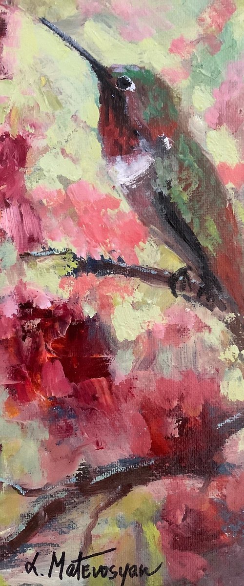 Hummingbird by Lia Matevosyan Haselton