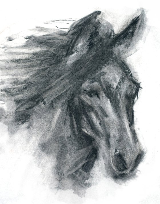 Horse (charcoal)