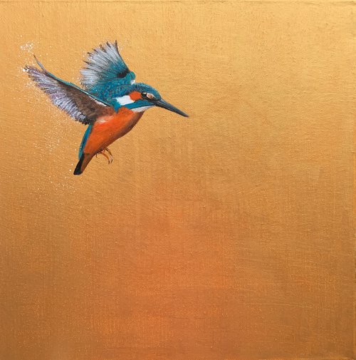 Flight Of The Kingfisher IV by Laure Bury