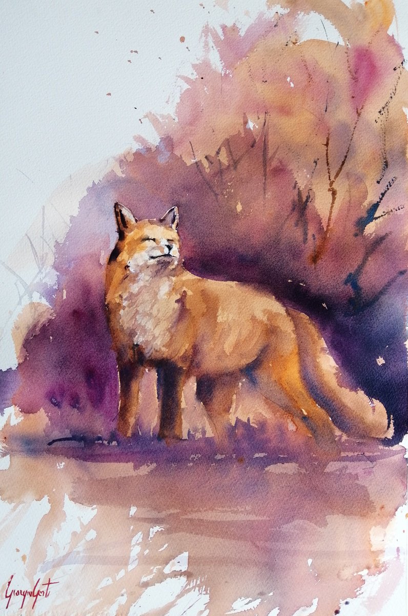 Impressionistic Watercolour , Fox 9 By Giorgio Gosti, 14 X 21, Artwork For Sale On Artfinder