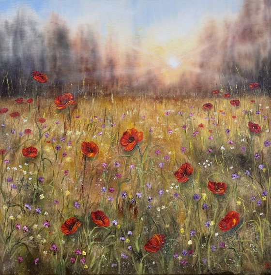 Softly Into Evening