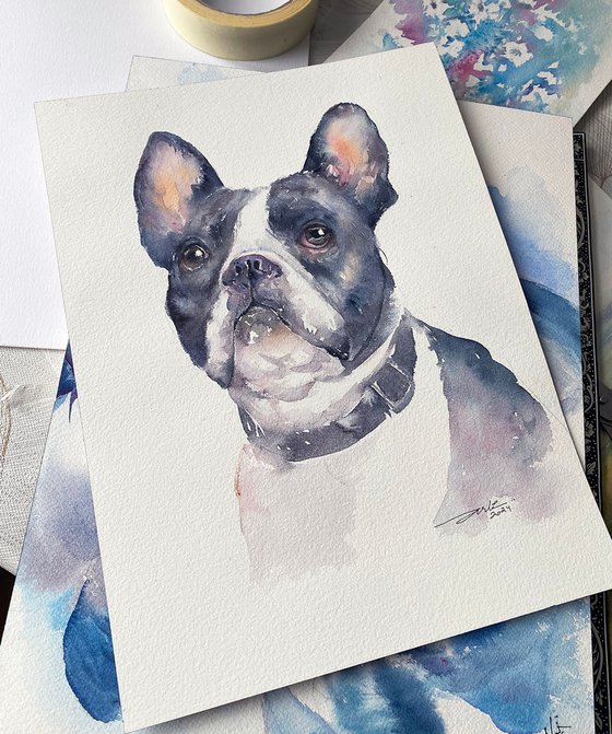 French Bulldog Fitz