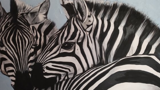 Couple of Zebras