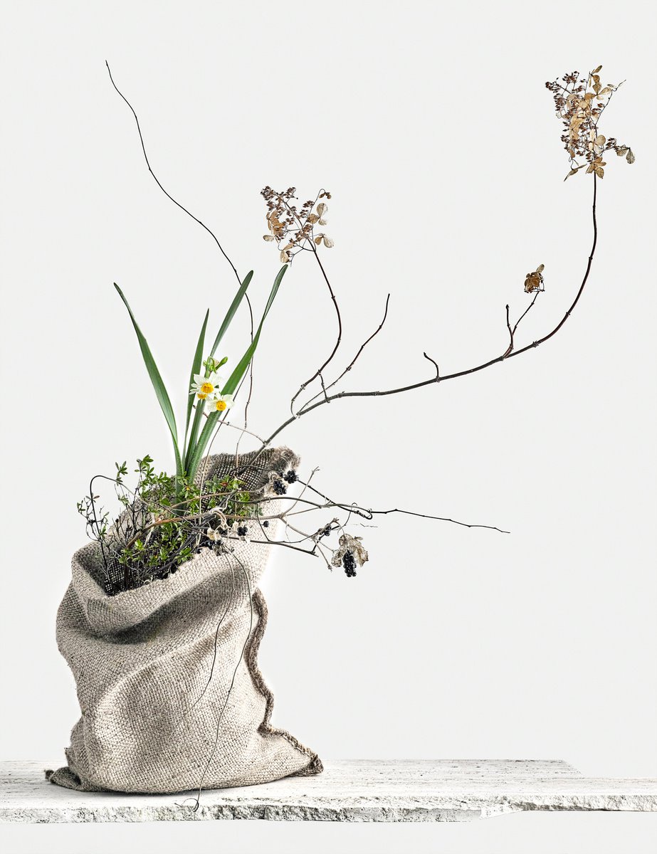 White Light#008-Narcissus, blackberry lily, hydrangea, rhododendron tschonoskii- by Keiichiro Muramatsu