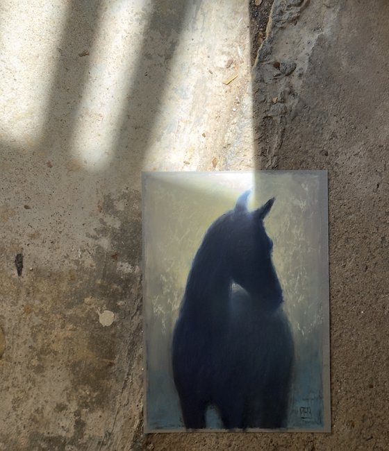 Light And Shadow