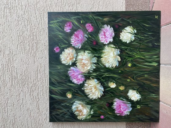 Peonies - arome of summer