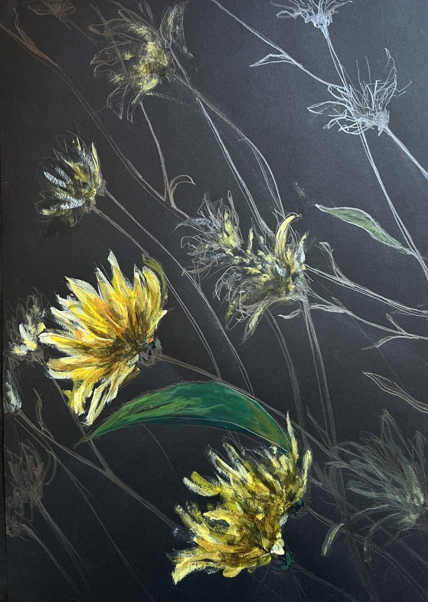 Impressionistic Botanical Pencil Drawing By Maxence Ma, 12 X 17", Wild, Original Artwork