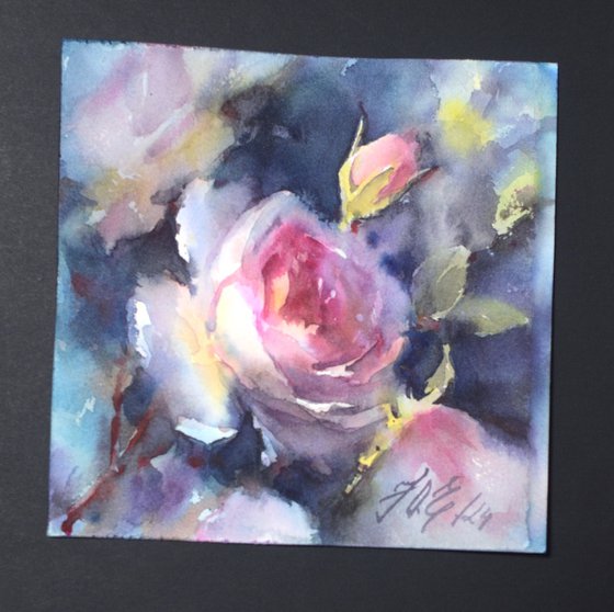 Watercolor rose, Soul of a Rose