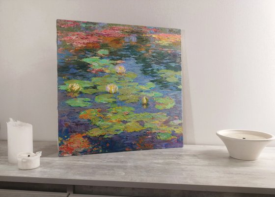 White water lilies. Summer