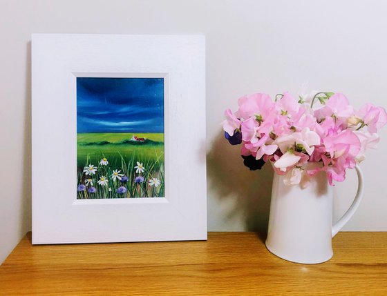 Daisies and Thistles, Mull of Kintyre, Scotland