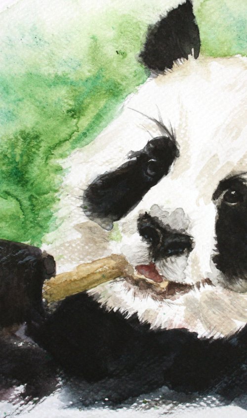 Panda IV - Animal portrait /  ORIGINAL PAINTING by Salana Art / Svetlana Samovarova