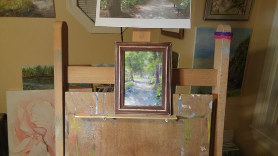 Sunny day, Public Gardens