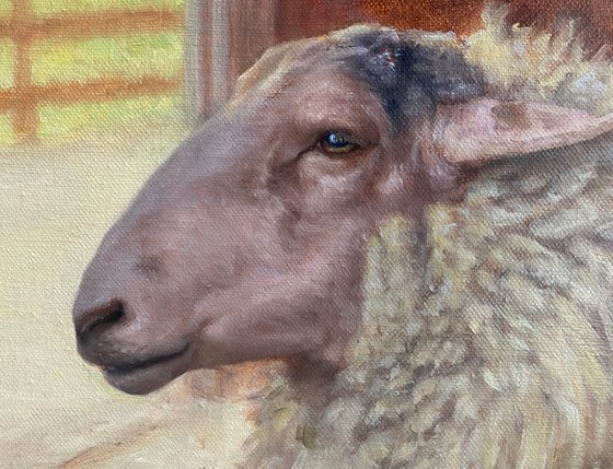 "The Old Sheep" Original Realist Painting by Yana Golikova