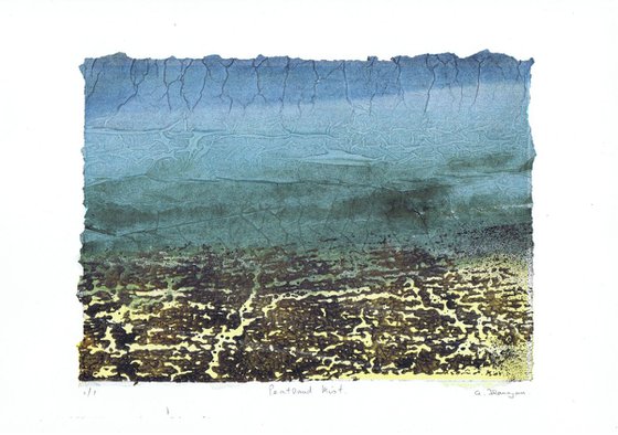 Peatland Mist