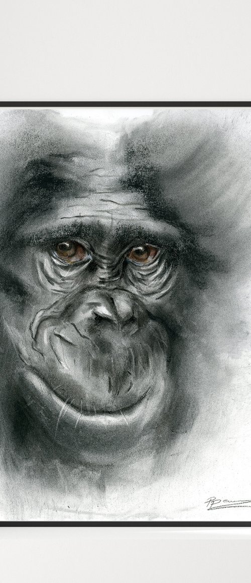 Monkey portrait by Olga Tchefranov (Shefranov)