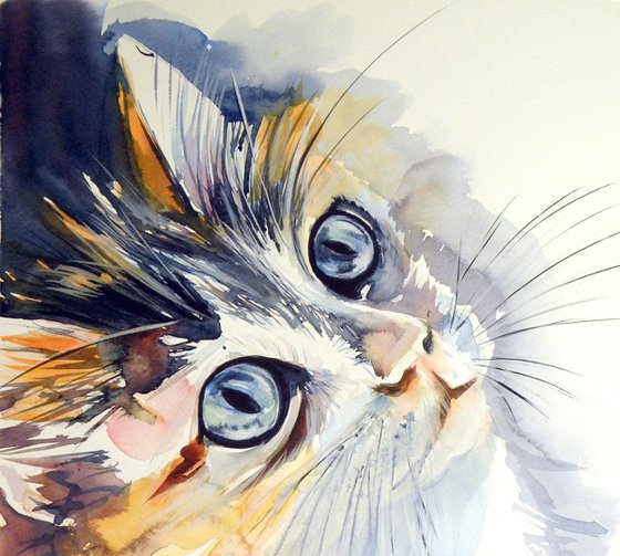 Kitten II