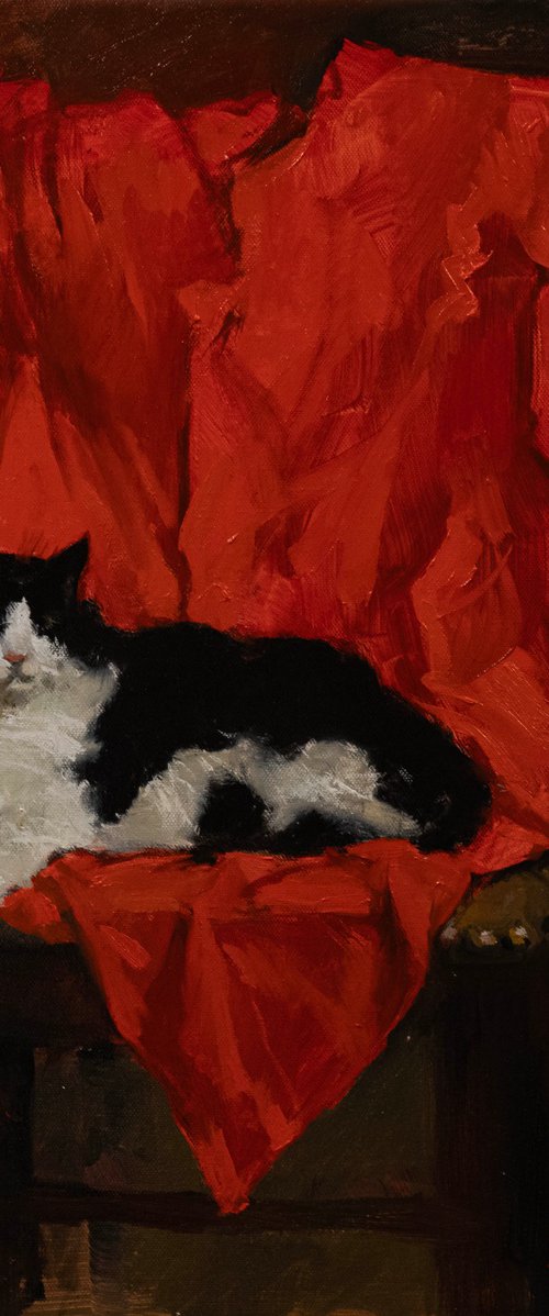 Cat in Red by Sergei Yatsenko