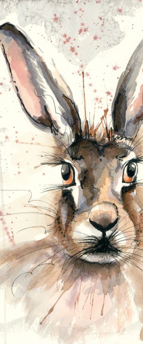 'Bright Eyes' by Nicola Colbran